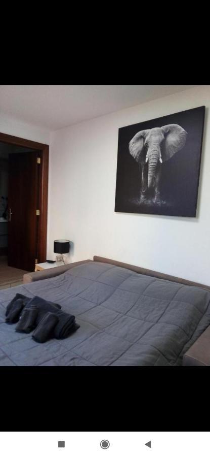 Room Mazzini เลชเช ภายนอก รูปภาพ